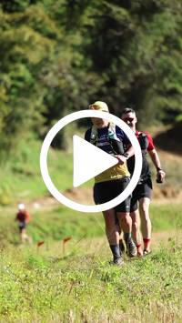 BIB:  <button type="button" onclick="openModal(26566983)" class="btn btn-primary btn-sm float-right" data-toggle="modal" data-target=".modal-high-quality">
                <i class="fa fa-download"></i> Download
                </button>